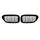 Diamond Style Dual Slats Kidney Grilles for BMW 5 Series G30 G31 G38 520i 530e 540i 2017–2019 Diamond Style Dual Slats Kidney Grilles for BMW 5 Series G30 G31 G38 520i 530e 540i 2017–2019