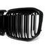 Gloss Black Dual Slats Front Bumper Grille for BMW X7 G07 M50i 2019–2022, 5 image Gloss Black Dual Slats Front Bumper Grille for BMW X7 G07 M50i 2019–2022, 5 image